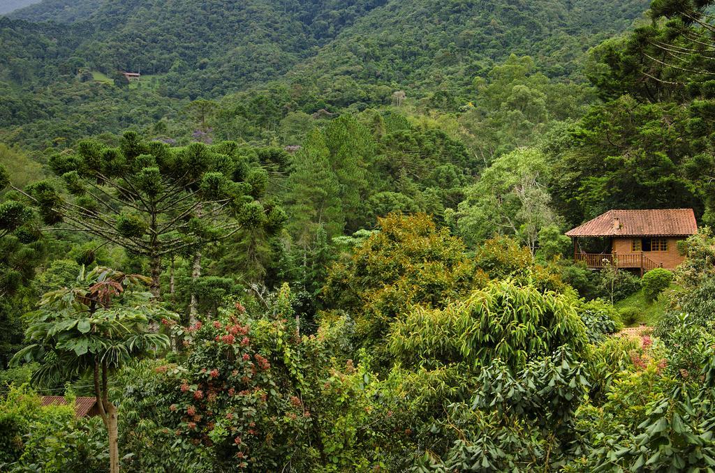 Pousada Das Araucarias Hotel Visconde De Mauá Buitenkant foto