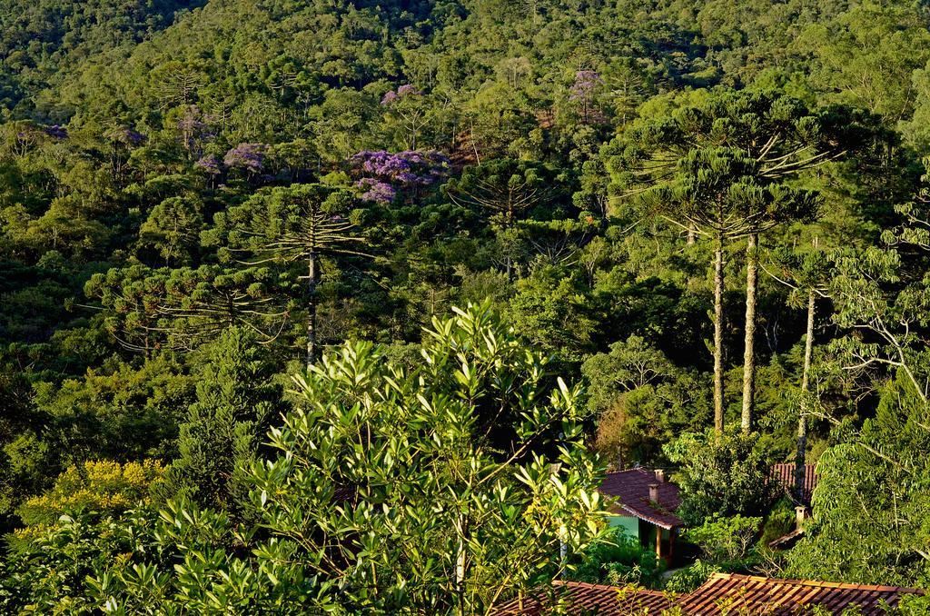 Pousada Das Araucarias Hotel Visconde De Mauá Buitenkant foto