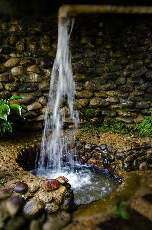 Pousada Das Araucarias Hotel Visconde De Mauá Buitenkant foto