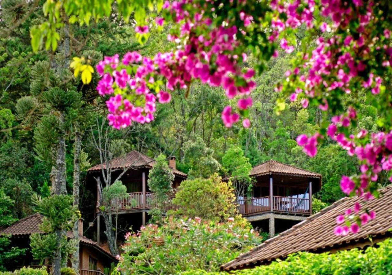 Pousada Das Araucarias Hotel Visconde De Mauá Buitenkant foto